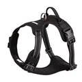 Black dog harness