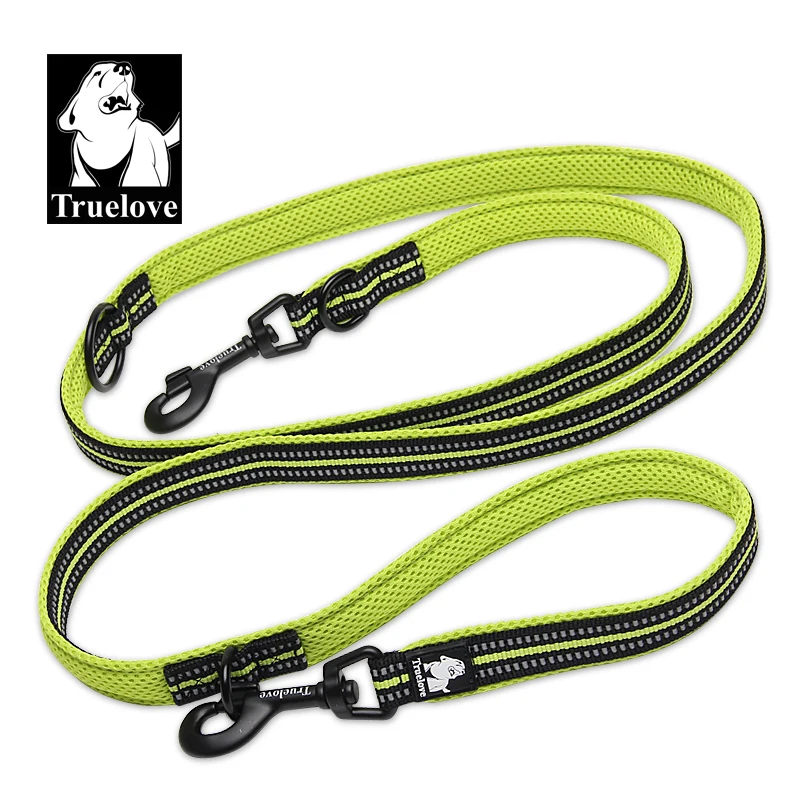 yellow dog leash