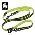 yellow dog leash