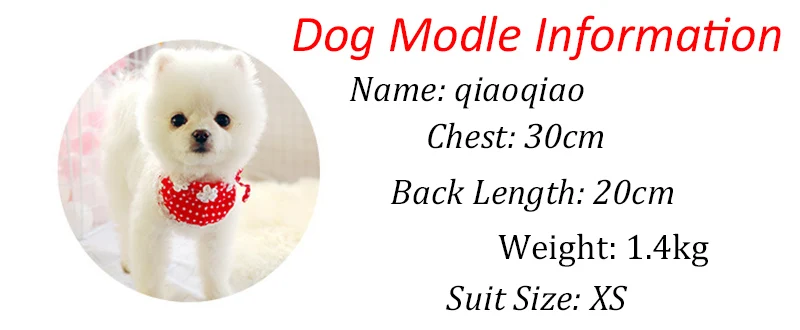 Gato pequeño con camiseta sin mangas estampada