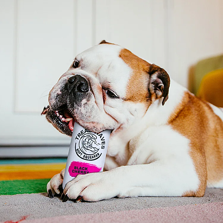 Juguetes vocales para perros, latas de peluche de cerveza, juguetes para perros pequeños, juguetes interactivos para lanzar, accesorios para mascotas, artículos para cachorros - imagen 5