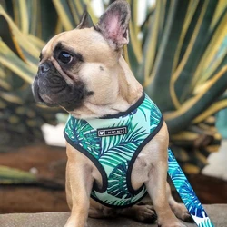 Arnés sin tirones para Bulldog Francés y Pug – Transpirable y cómodo
