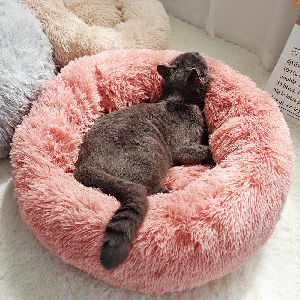 Un gato durmiendo en una cama de perro rosa