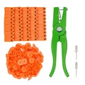 Orange no numbers