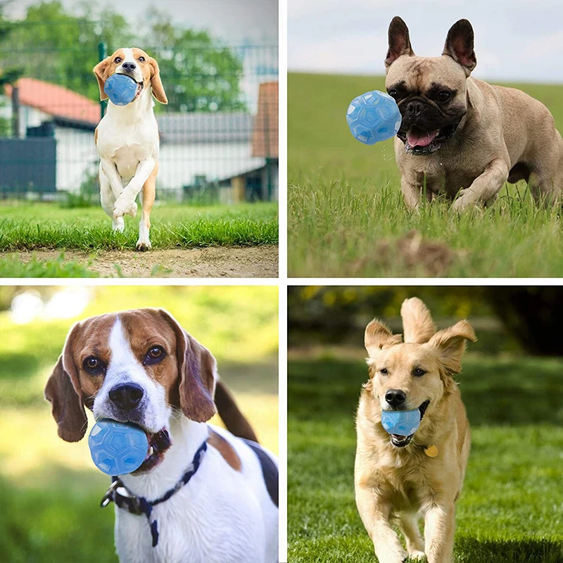 Benepaw-pelota de goma Natural flotante para perros pequeños y grandes, juguete masticable duradero para el cuidado Dental, juego de entrenamiento para cachorros - imagen 4