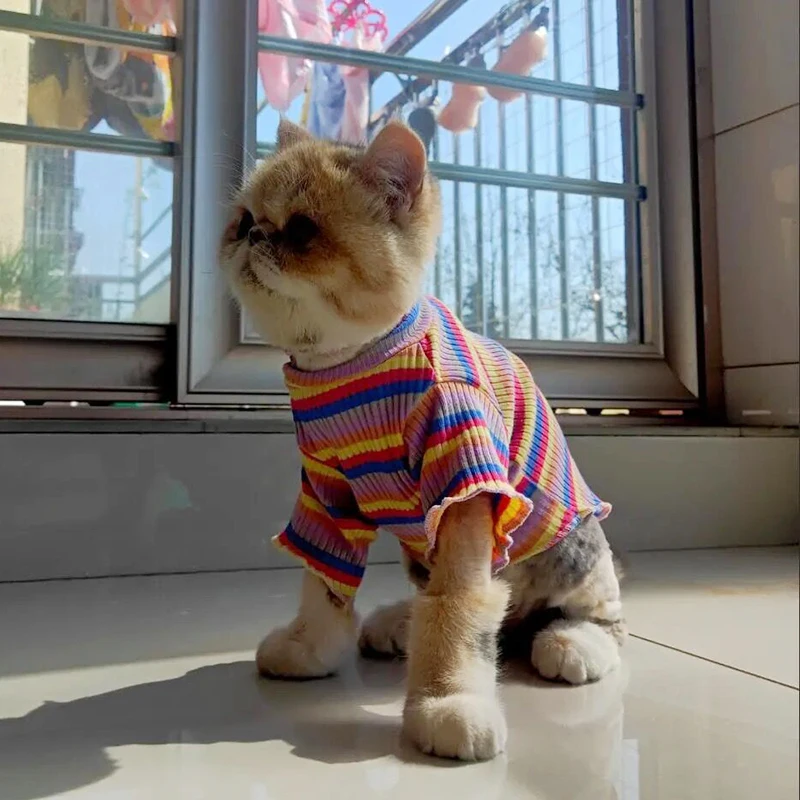 Ropa de algodón para Gato de primavera, ropa para Gatos, Gotas, Mascotas, dulce raya, cachorro, Sphynx, gato, Katten, chaleco, camisa ubranie dla kota - imagen 5