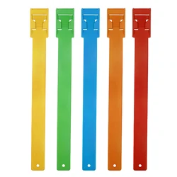 collar identificativo ajustable para gatos y perros con placa