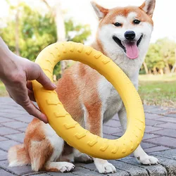 Anillo masticable para entrenamiento de perros medianos y grandes