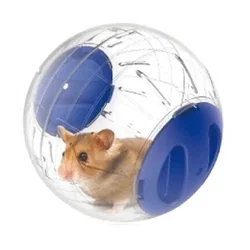 Pelota de ejercicio para hámster transparente – Juguete runner