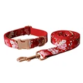 Dog Collar Leash Set