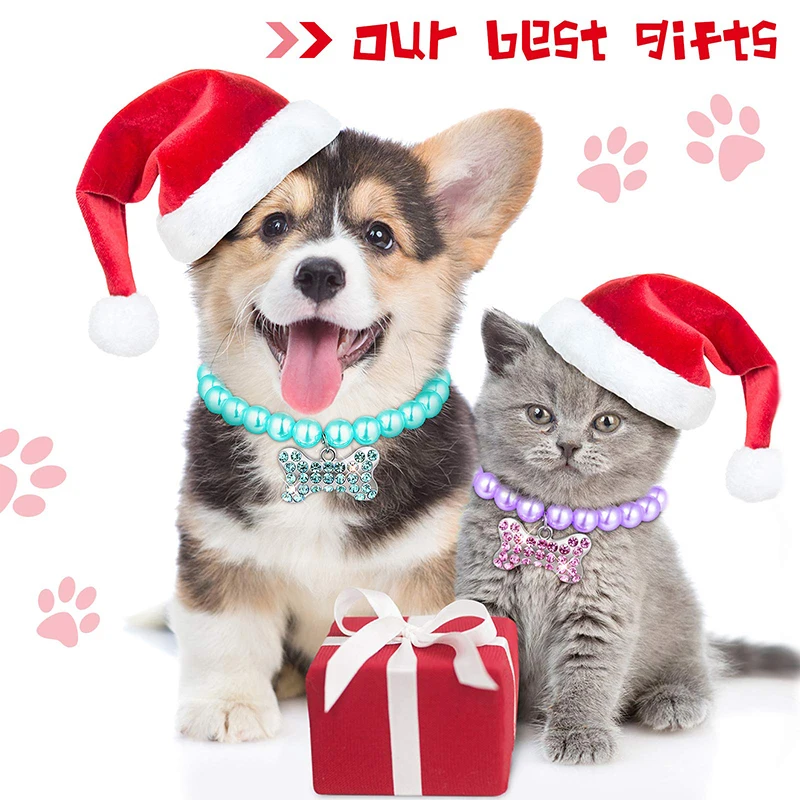 Collar perlas - Uso en mascota de ejemplo