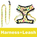 Yellow Harness Leash