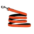 Orange Leash