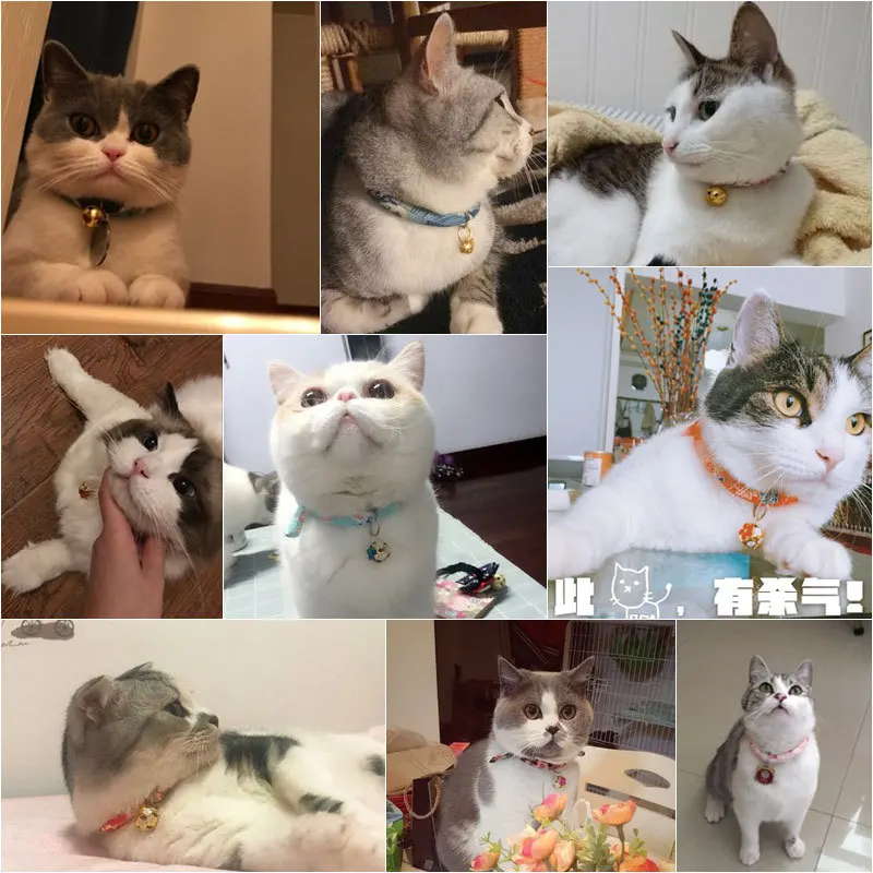 4483002216_859103132