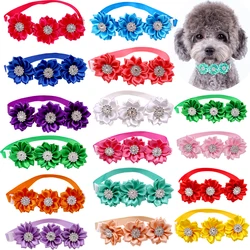 Collar lazo para perros pequeños – Cierre regulable y suave
