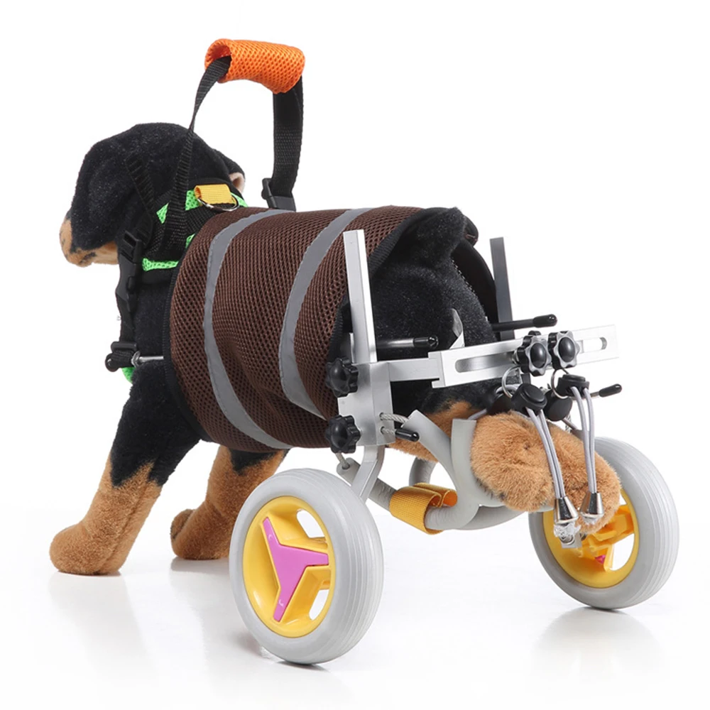Silla de ruedas ajustable para perros, carrito de rehabilitación de mascotas de 2 ruedas para parálisis de discapacitados, soporte para piernas traseras, ayuda para caminar para perros pequeños y medianos - imagen 3