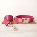 Dog Collar Leash Set