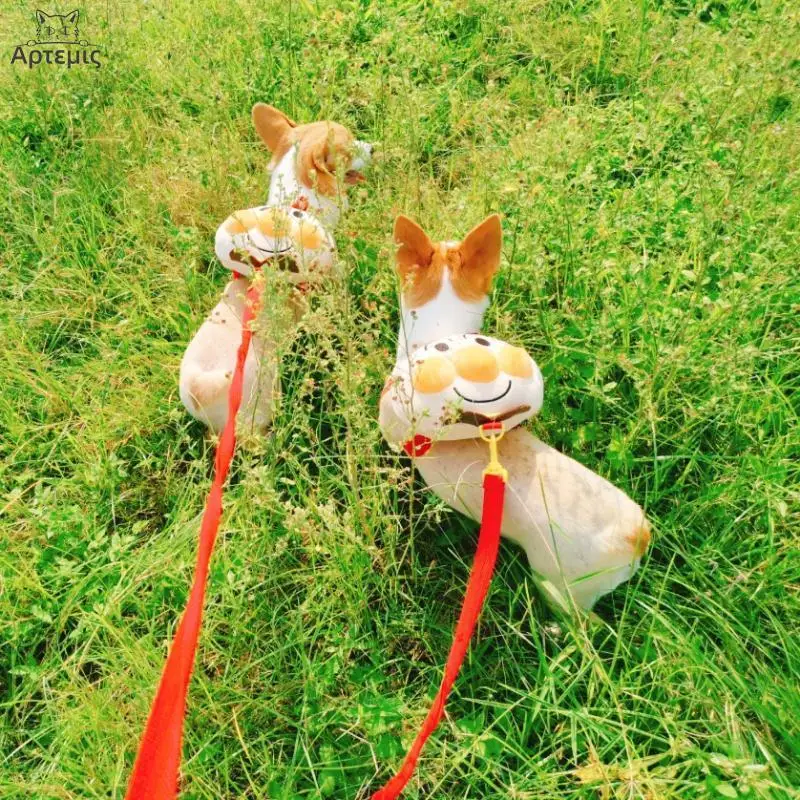 Mochilas para perros pequeños, bonitas mochilas para mascotas con pan, peluches, Corgi, mochilas para salir, cuerda de tracción, accesorios para perros - imagen 3