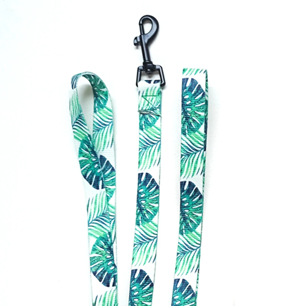 Green Dog Leash