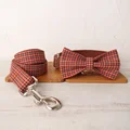 Bow Tie Collar Leash