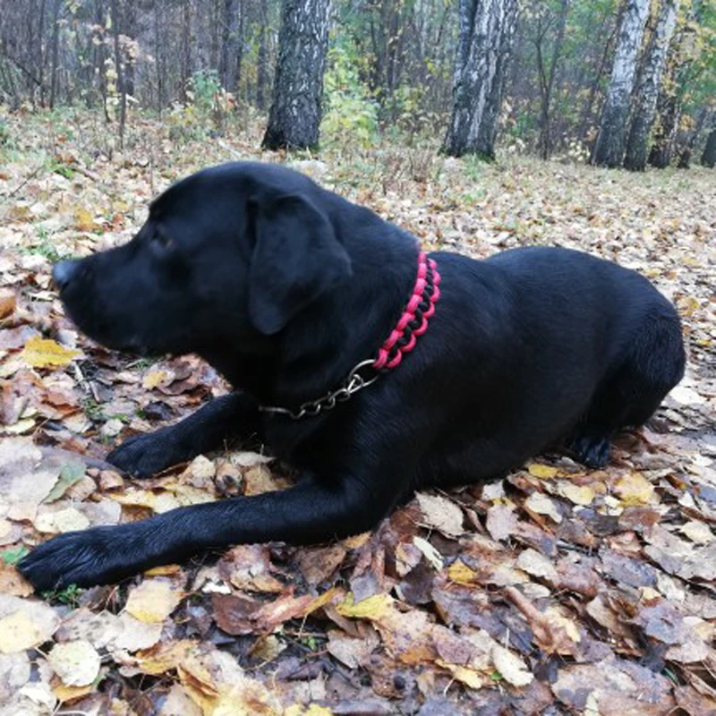 Collar ancho para perros medianos y grandes, cuerda de nailon fuerte tejida, cadena P de deslizamiento limitada, pastor alemán Pit Bull Rottweiler - imagen 3