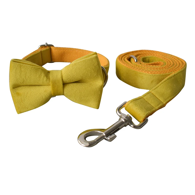 Bow Collar Leash Set