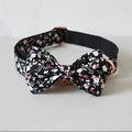 Bow Collar