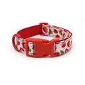 Red Strawberry