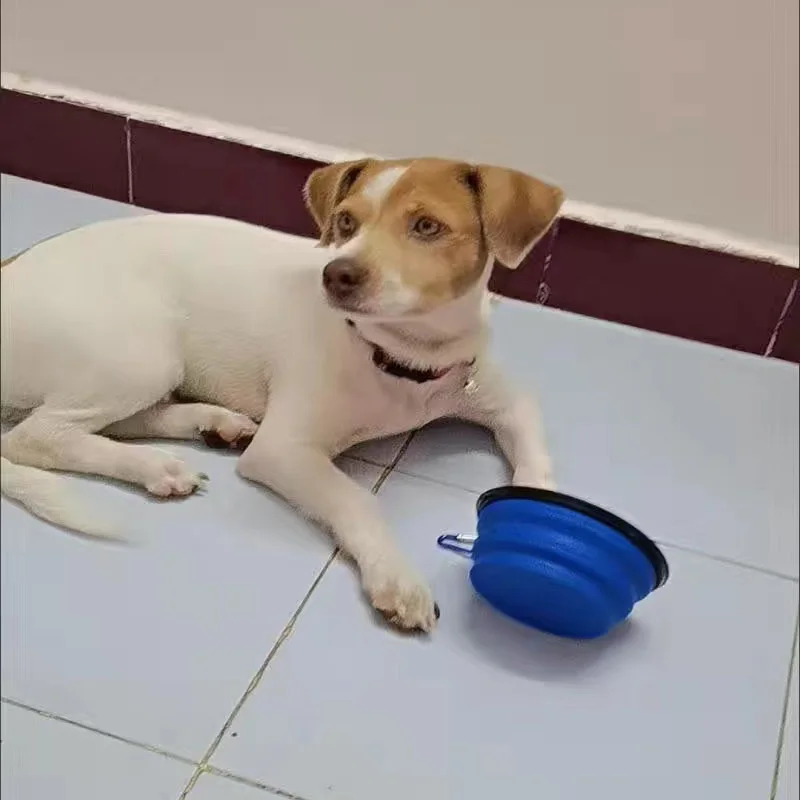 Cuencos Viaje Plegables para Mascotas - detalle plegable