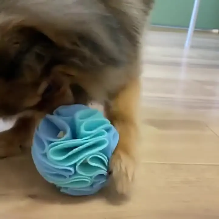 Pelota plegable para olfatear con perros, pelota colorida para mascotas, rompecabezas de juguete, juegos de entrenamiento, accesorios para gatos y perros, suministros para mascotas, 2023 - imagen 5