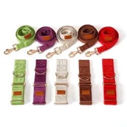 Collar Martingale con correa suave para Iggy, Whippet y Galgo