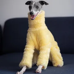 Abrigo para perro galgo italiano - cuello alto, pijama de invierno