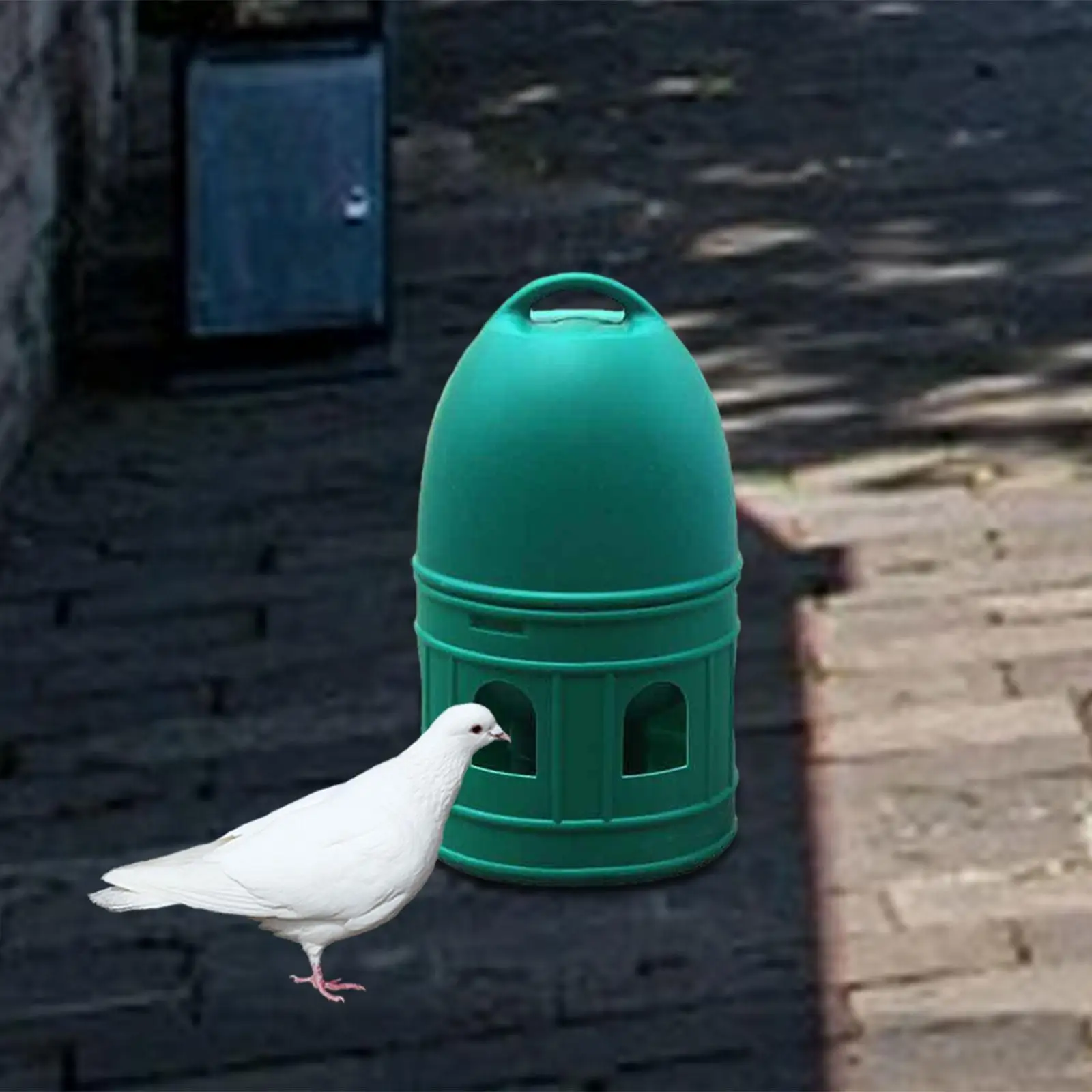 2x Pigeon Drinker Automatic Feeder 10L Watering Cup for Parrot Coop Quail