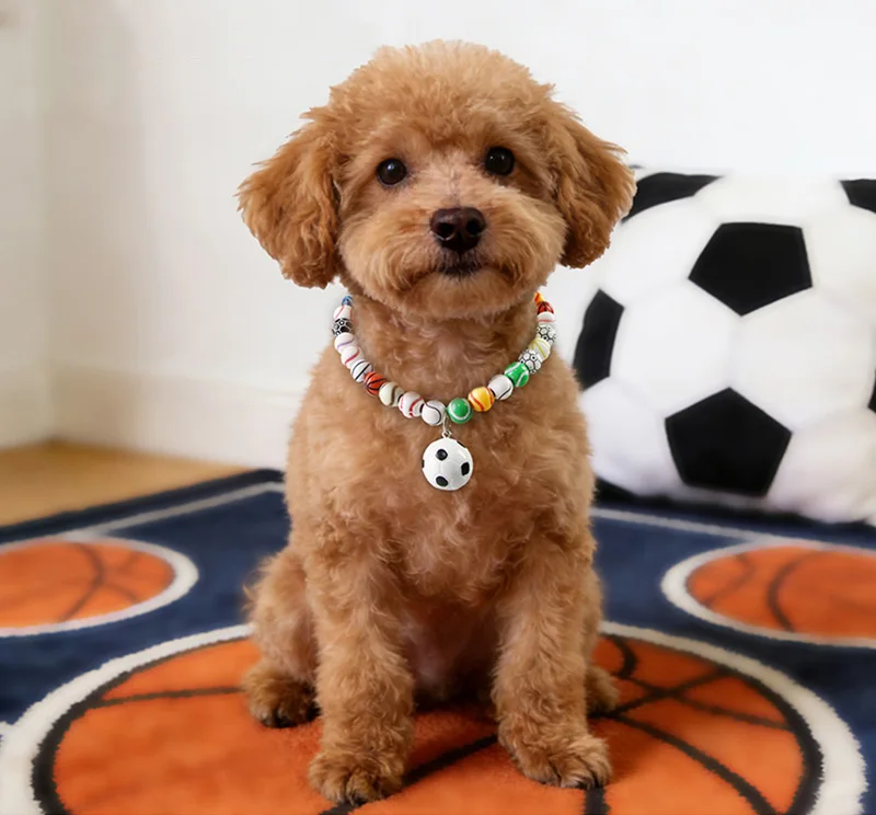 Detalle del diseño de balón de fútbol integrado en el collar