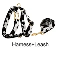 Harness   leash