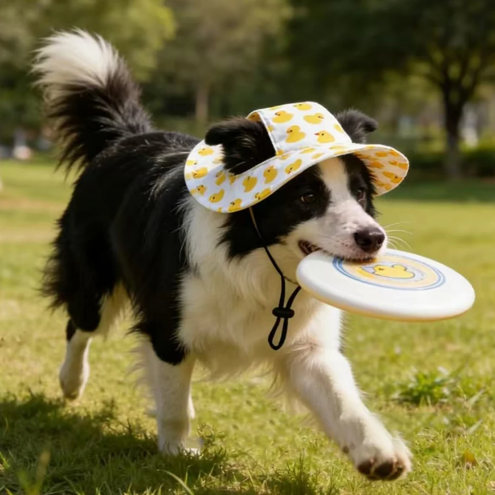 Gorra protección solar ajustable para perros Shiba Inu, Corgi y gatos - imagen 3