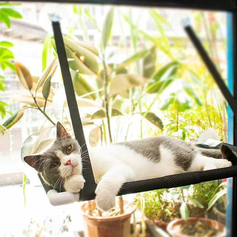 Hammack de doble capa para gatito, ventana colgante para tomar el sol, estera de terciopelo para gato, ventosa, poste rascador de Sisal duradero - imagen 5