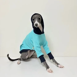 Abrigo para perros pequeños de terciopelo azul con capucha – Invierno