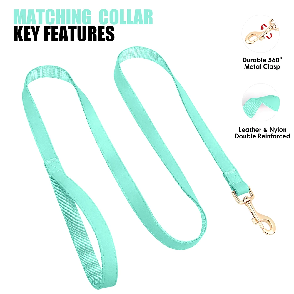 Collar de perro personalizado, conjunto de correa de cuero PU personalizado, collares con hebilla para perro, correa para caminar para mascotas para perros pequeños y medianos Pitbull - imagen 4