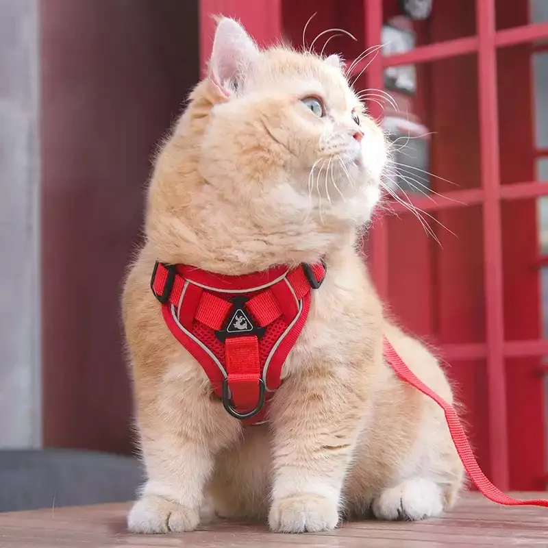 Arnés y correa reflectante para perros y gatos - Chaleco transpirable - imagen 2