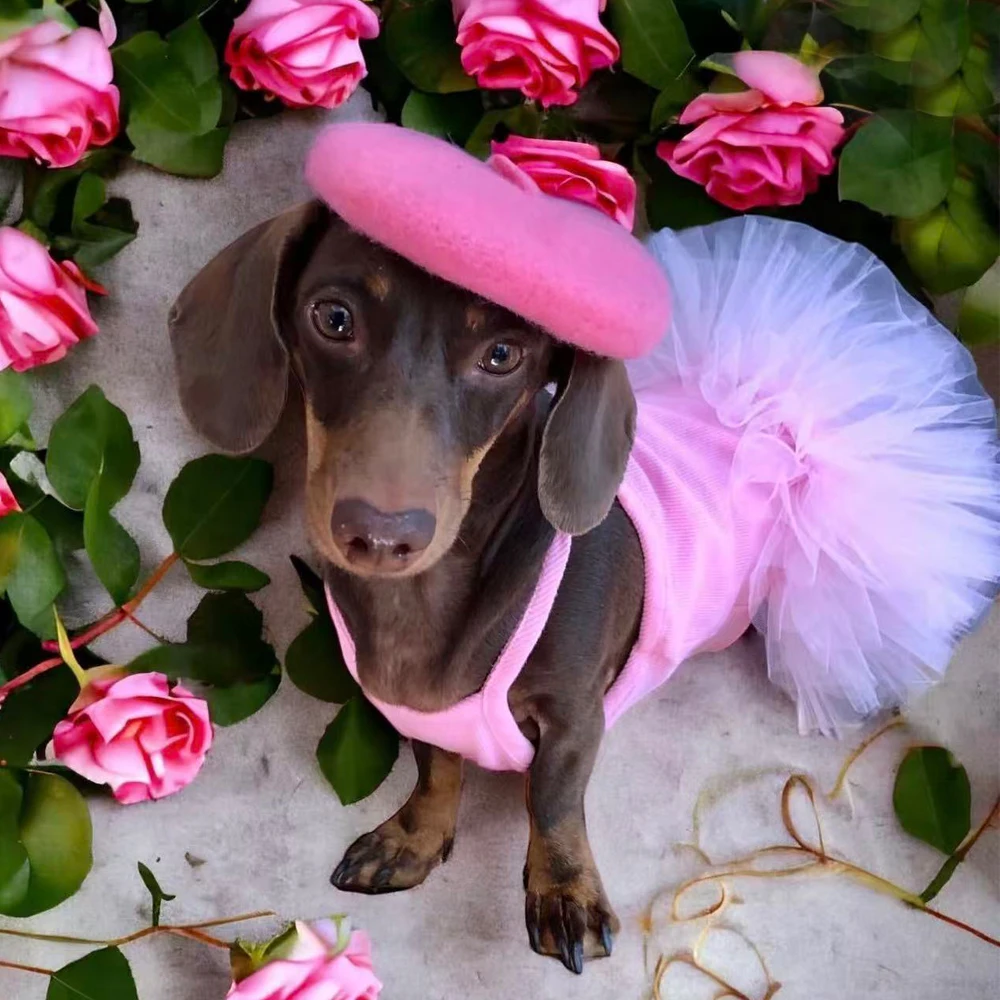 Vestido de encaje para perros Dachshund – rosa, cómodo en verano - imagen 4