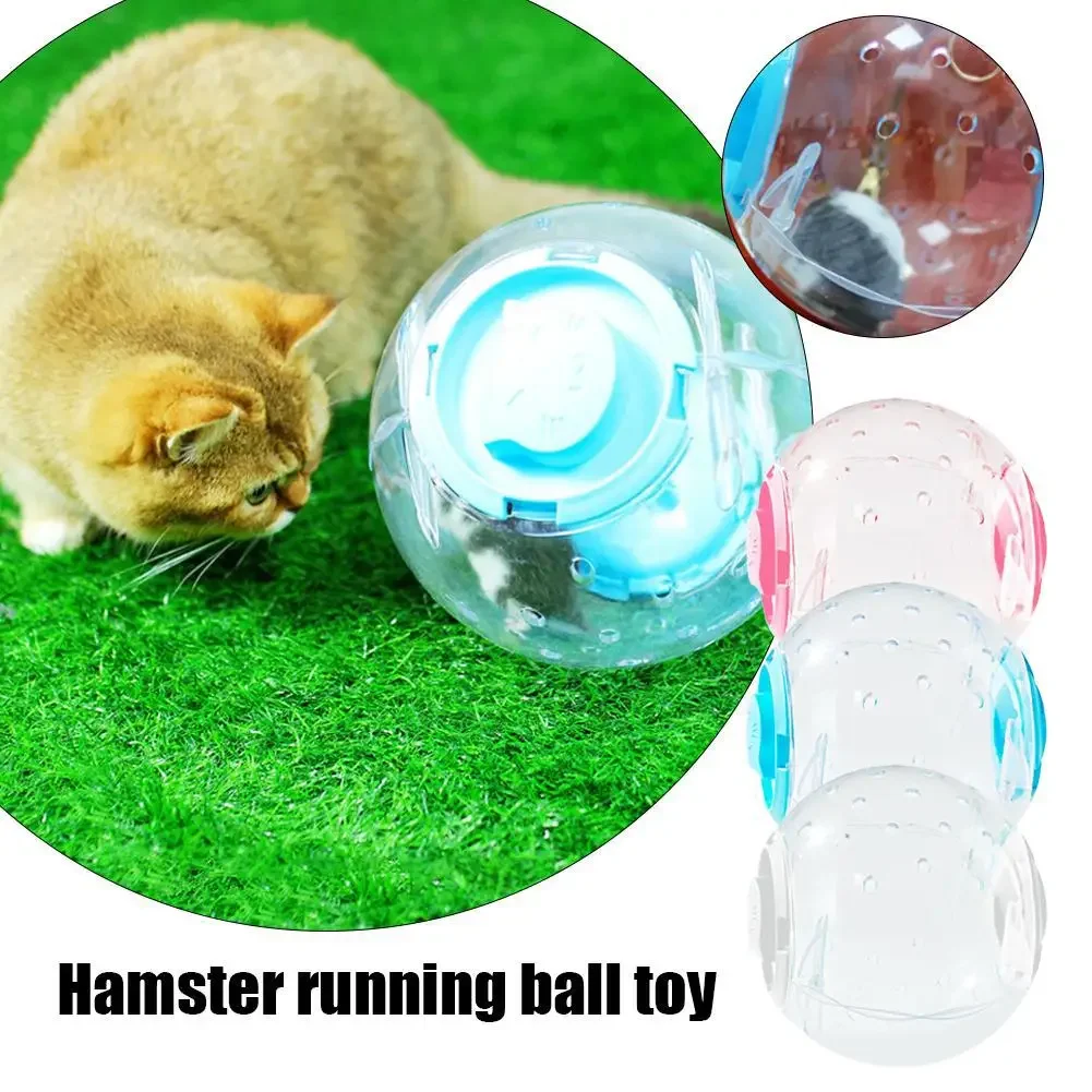 Pelota deportiva transparente para rata, ratones pequeños para mascotas, pelota para correr, juguete para hámster, gerbil, pelota de ejercicio, juguete para juego, suministros para mascotas pequeñas - imagen 2