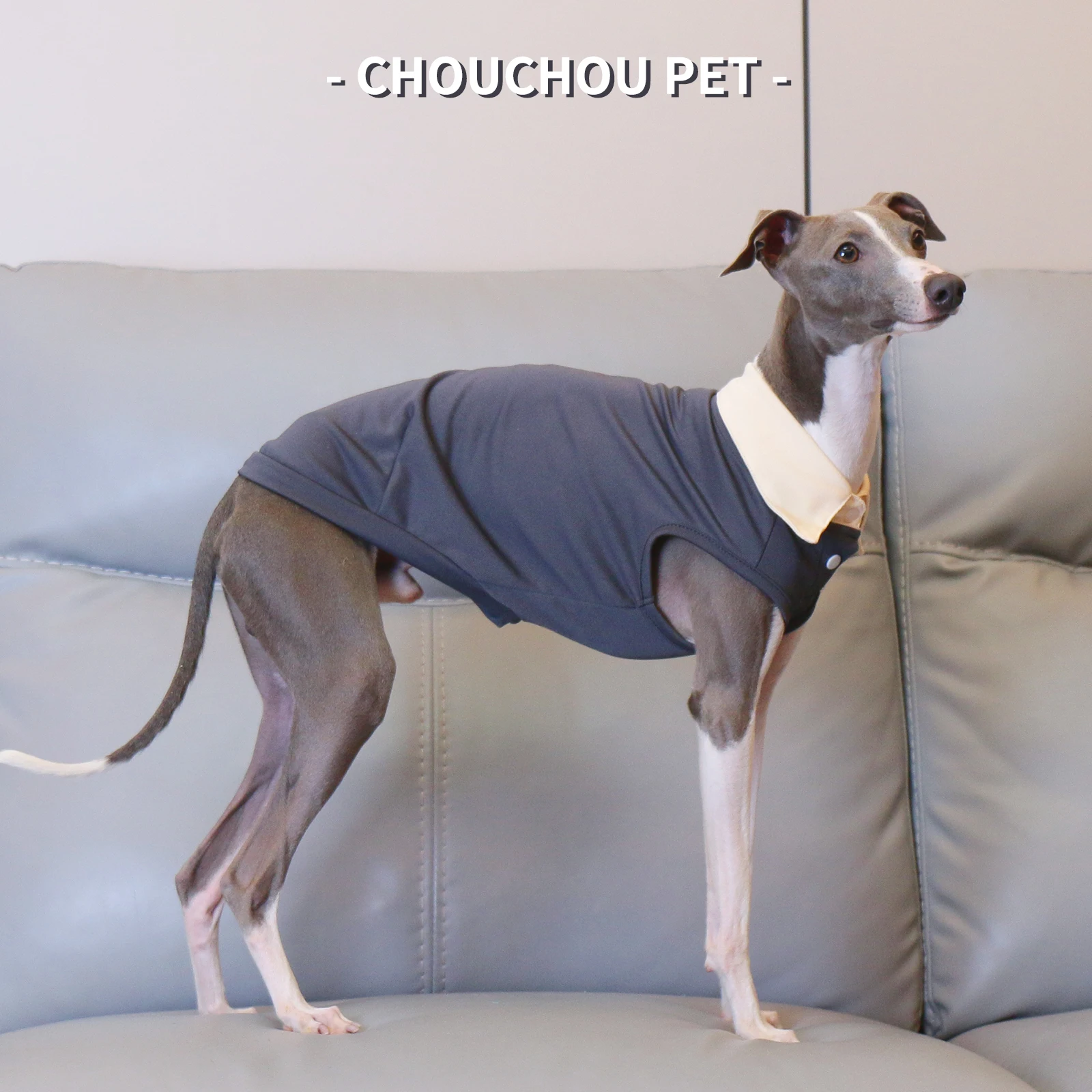 Galgo italiano Whippet Sighthound Polo de verano Camiseta para mascotas Gris - imagen 5