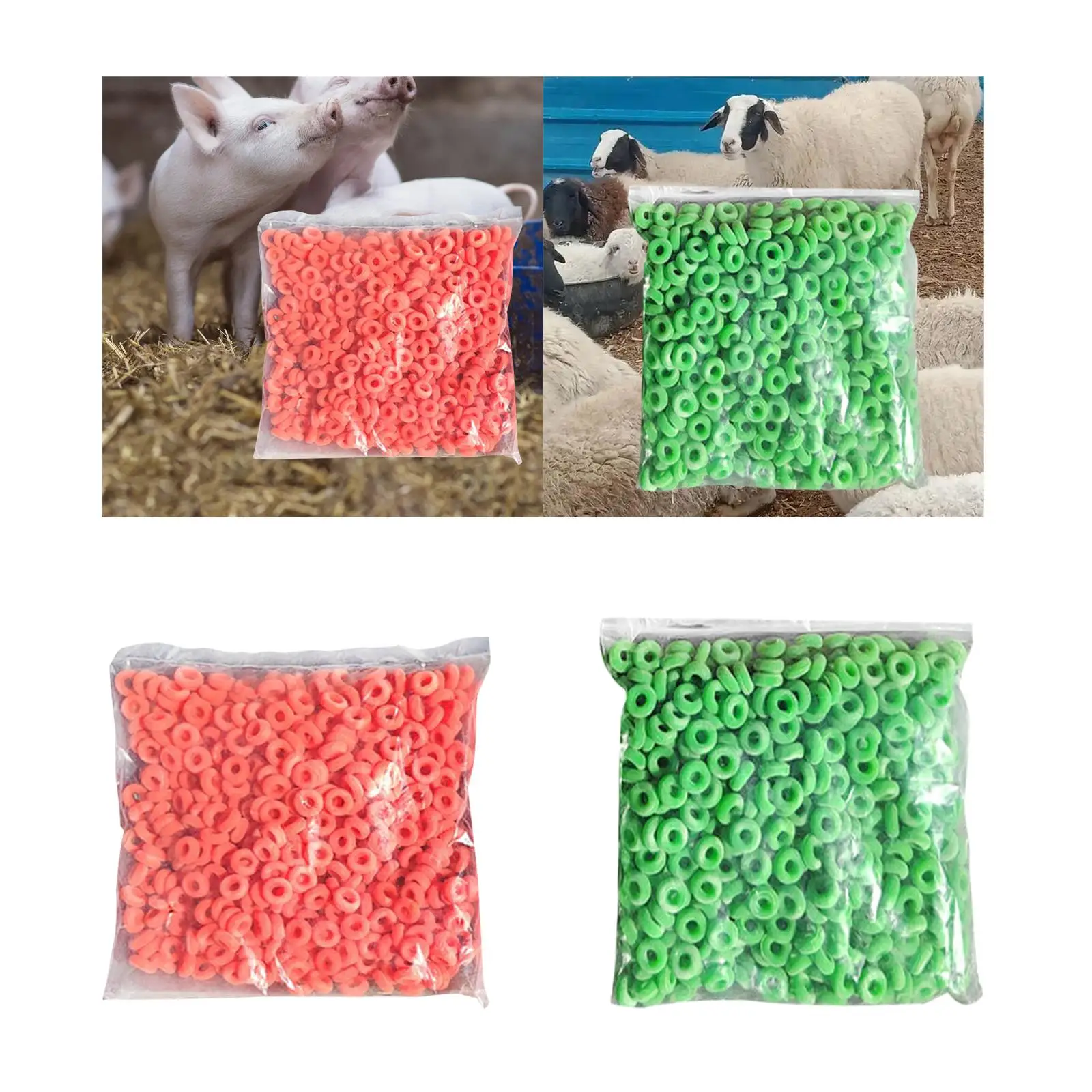 50 piezas de bandas de castración, bandas de castración de cabra para corderos, vacas, ovejas - imagen 4