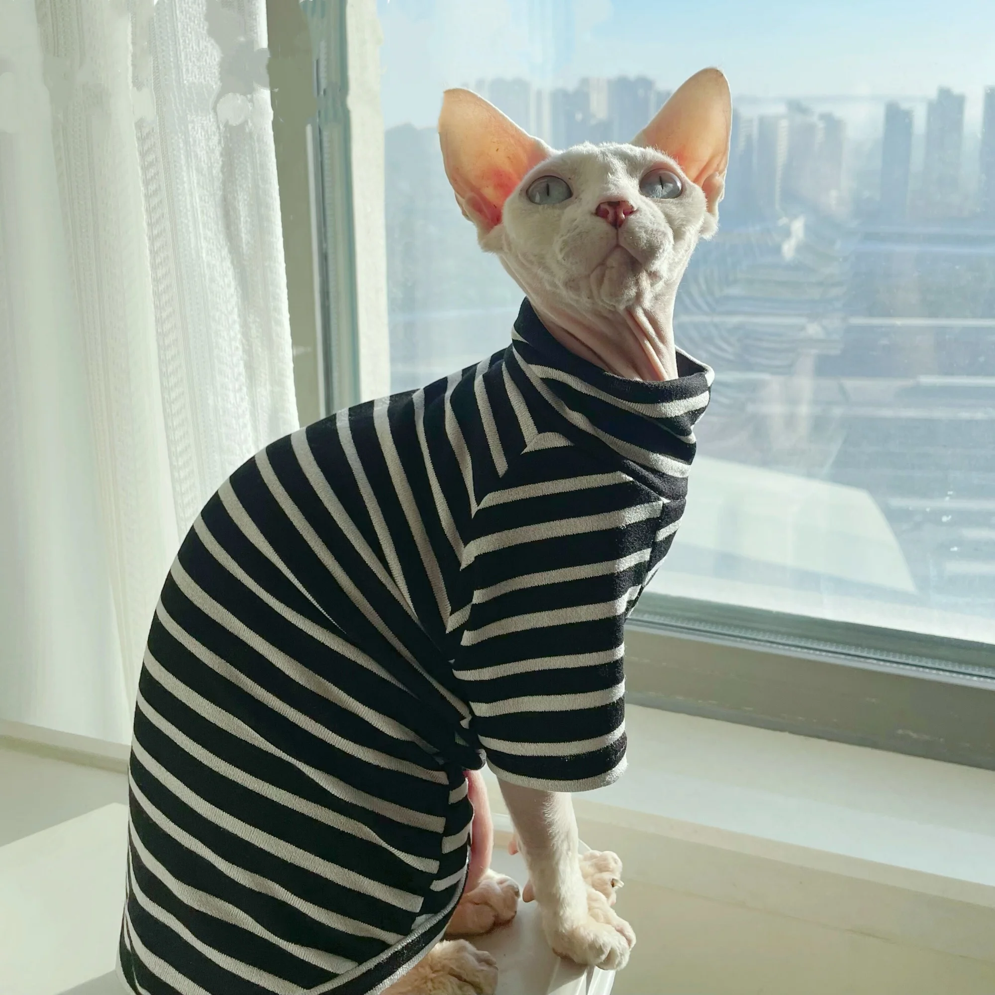 Camiseta de algodón a rayas negras para gato Sphynx, pijamas suaves de cuello alto para gatitos en primavera, abrigo de otoño de manga larga para Devon Rex - imagen 2