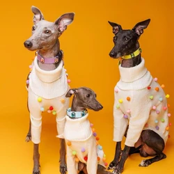 Ropa para perros: galgo italiano, whippet y saluki, sueter de invierno