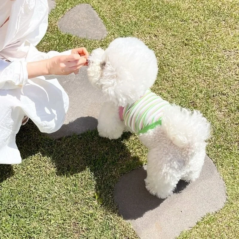 Chaleco corto para mascotas con tirantes, chaleco fino de peluche para verano, ropa para perros a rayas naranjas, camiseta transpirable Bichon Frise, ropa para mascotas - imagen 3