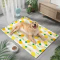 Pet Cooling Mats-A