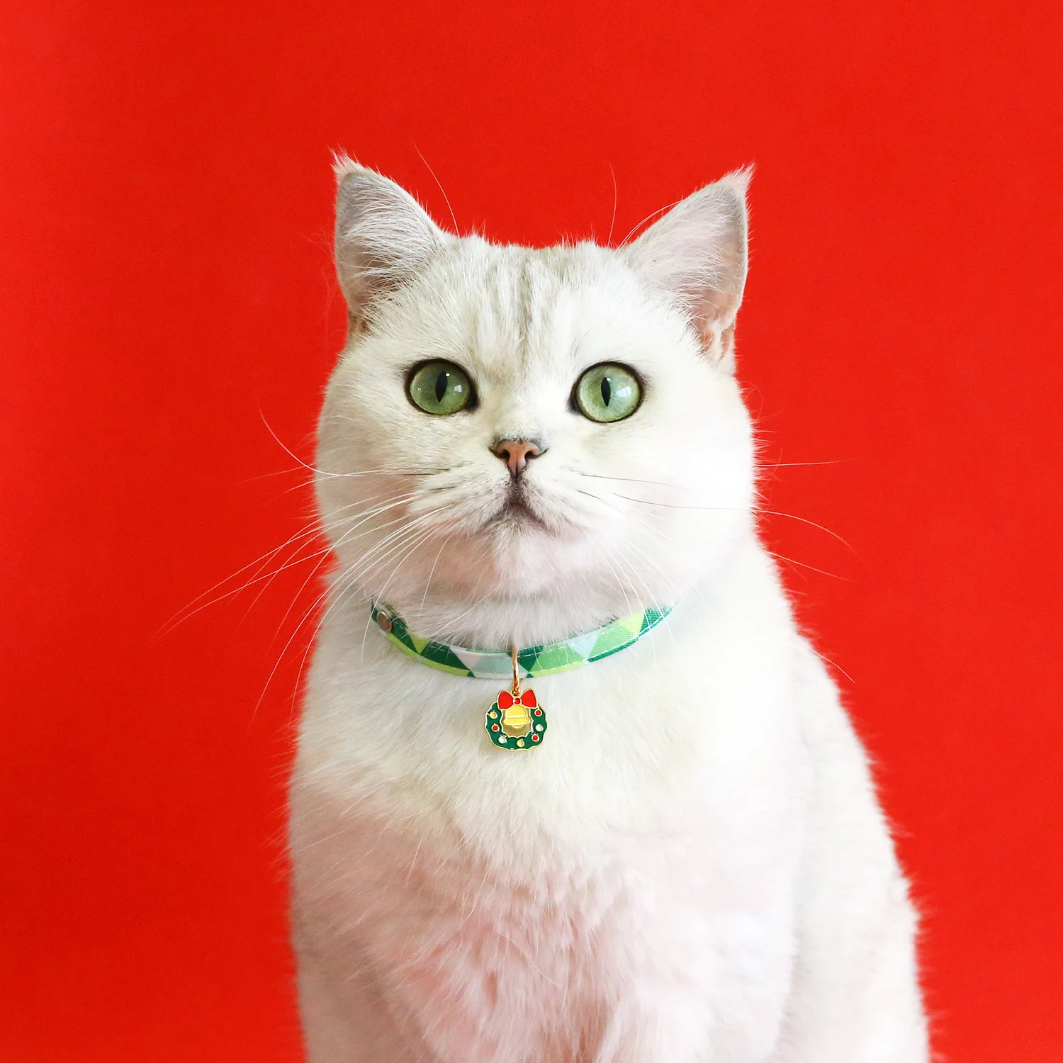 Collar con patrón de dibujos animados para mascotas, colgante de campana, hebilla de seguridad, accesorios de suministros para cachorros, gatitos y conejos, navidad - imagen 4