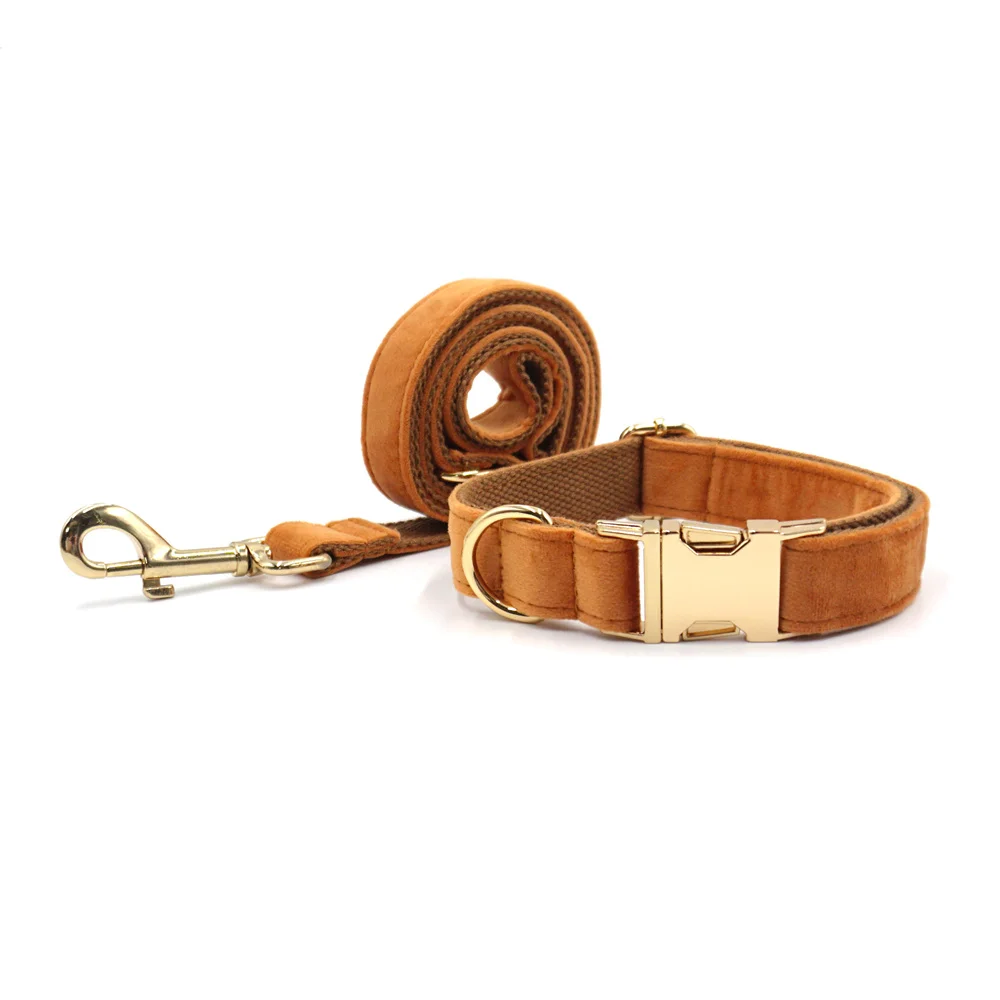 collar leash